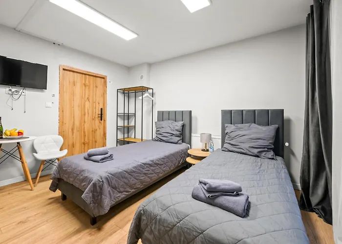 Apartment Platinum 5 Z Aneksem Kuchennym I Tarasem Rybnik (Silesia)