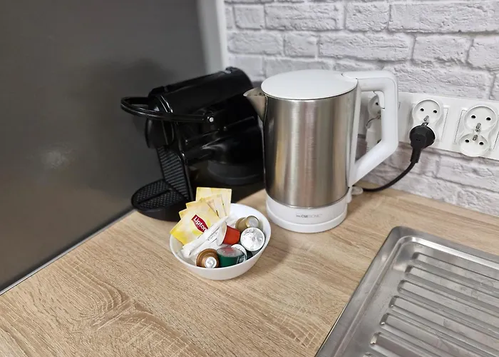 Platinum 5 Appartement Rybnik (Silesia)